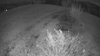 Snímek 6.11.2025 v 22:00