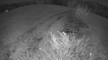 Snímek 7.11.2025 v 02:00