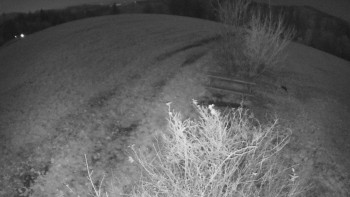 Snímek 7.11.2025 v 05:00