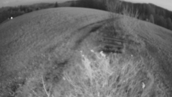 Snímek 7.11.2025 v 06:00