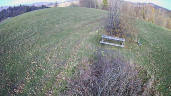 Snímek 7.11.2025 v 11:00