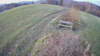 Snímek 7.11.2025 v 16:30