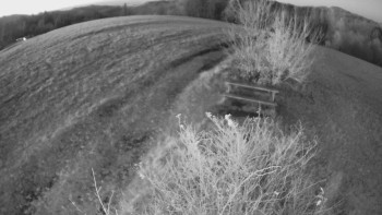 Snímek 7.11.2025 v 17:00