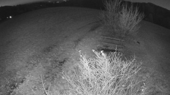 Snímek 7.11.2025 v 17:30