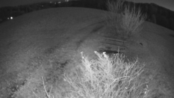 Snímek 7.11.2025 v 19:00