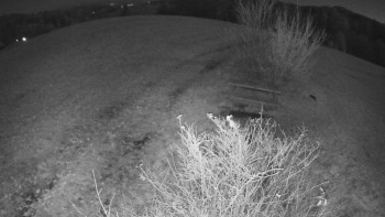 Snímek 7.11.2025 v 20:30