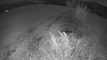 Snímek 7.11.2025 v 21:30