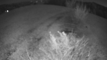 Snímek 7.11.2025 v 22:00