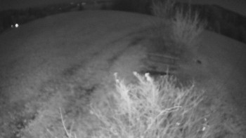 Snímek 8.11.2025 v 00:00