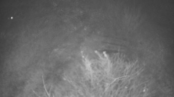 Snímek 9.11.2025 v 02:30