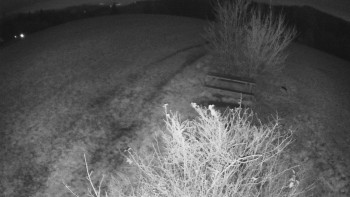 Snímek 9.11.2025 v 05:00