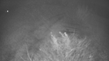 Snímek 9.11.2025 v 06:00