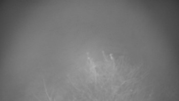 Snímek 9.11.2025 v 18:30