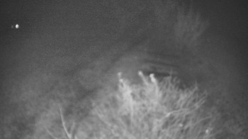 Snímek 9.11.2025 v 20:30