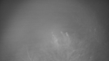 Snímek 11.11.2025 v 00:00