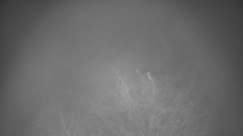 Snímek 13.11.2025 v 00:30