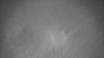 Snímek 14.11.2025 v 04:30