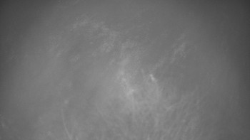 Snímek 14.11.2025 v 05:00