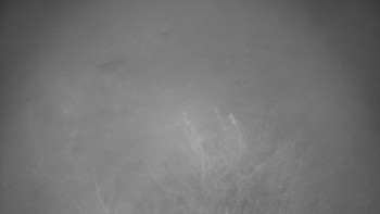 Snímek 14.11.2025 v 06:00