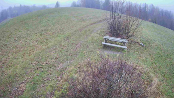 Snímek 15.11.2025 v 15:00