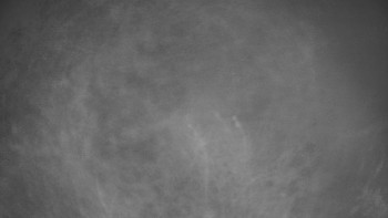 Snímek 16.11.2025 v 01:00