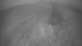 Snímek 16.11.2025 v 06:30