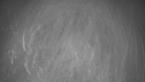 Bludný - Rajnochovice Troják - Bludný - Rajnochovice Troják - 17.11.2025 v 01:00 Bludný - Rajnochovice Troják - Bludný - Rajnochovice Troják - 17.11.2025 v 01:00