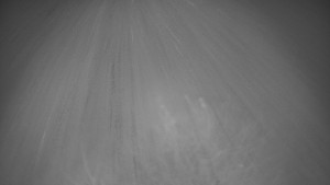 Bludný - Rajnochovice Troják - Bludný - Rajnochovice Troják - 17.11.2025 v 01:30 Bludný - Rajnochovice Troják - Bludný - Rajnochovice Troják - 17.11.2025 v 01:30