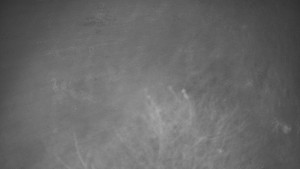 Bludný - Rajnochovice Troják - Bludný - Rajnochovice Troják - 17.11.2025 v 02:30 Bludný - Rajnochovice Troják - Bludný - Rajnochovice Troják - 17.11.2025 v 02:30