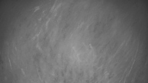 Bludný - Rajnochovice Troják - Bludný - Rajnochovice Troják - 17.11.2025 v 03:30 Bludný - Rajnochovice Troják - Bludný - Rajnochovice Troják - 17.11.2025 v 03:30