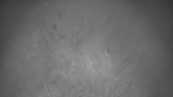 Snímek 17.11.2025 v 04:30