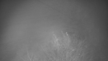 Snímek 17.11.2025 v 05:00