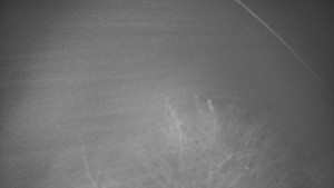 Bludný - Rajnochovice Troják - Bludný - Rajnochovice Troják - 17.11.2025 v 06:00 Bludný - Rajnochovice Troják - Bludný - Rajnochovice Troják - 17.11.2025 v 06:00