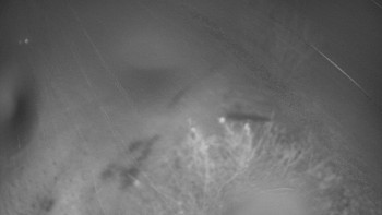 Snímek 17.11.2025 v 21:00