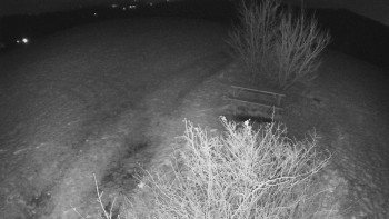 Snímek 19.11.2025 v 01:00