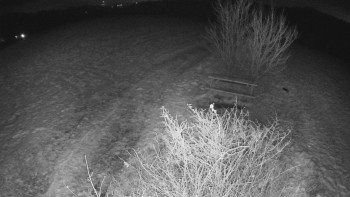 Snímek 20.11.2025 v 05:30