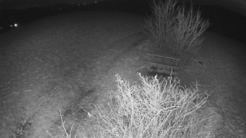 Snímek 21.11.2025 v 01:00