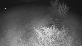 Snímek 21.11.2025 v 22:00