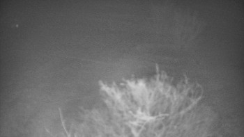 Snímek 22.11.2025 v 05:00