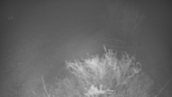 Snímek 22.11.2025 v 06:00