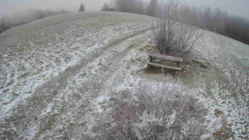 Snímek 22.11.2025 v 08:00