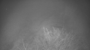 Bludný - Rajnochovice Troják - Bludný - Rajnochovice Troják - 7.12.2025 v 00:30 Bludný - Rajnochovice Troják - Bludný - Rajnochovice Troják - 7.12.2025 v 00:30