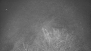 Bludný - Rajnochovice Troják - Bludný - Rajnochovice Troják - 7.12.2025 v 01:30 Bludný - Rajnochovice Troják - Bludný - Rajnochovice Troják - 7.12.2025 v 01:30