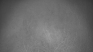 Bludný - Rajnochovice Troják - Bludný - Rajnochovice Troják - 7.12.2025 v 02:30 Bludný - Rajnochovice Troják - Bludný - Rajnochovice Troják - 7.12.2025 v 02:30