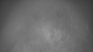 Bludný - Rajnochovice Troják - Bludný - Rajnochovice Troják - 7.12.2025 v 03:30 Bludný - Rajnochovice Troják - Bludný - Rajnochovice Troják - 7.12.2025 v 03:30