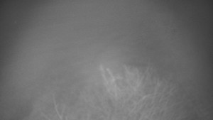 Bludný - Rajnochovice Troják - Bludný - Rajnochovice Troják - 7.12.2025 v 04:00 Bludný - Rajnochovice Troják - Bludný - Rajnochovice Troják - 7.12.2025 v 04:00