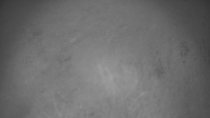 Bludný - Rajnochovice Troják - Bludný - Rajnochovice Troják - 7.12.2025 v 05:30 Bludný - Rajnochovice Troják - Bludný - Rajnochovice Troják - 7.12.2025 v 05:30