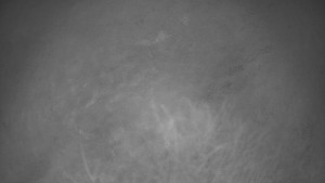 Bludný - Rajnochovice Troják - Bludný - Rajnochovice Troják - 7.12.2025 v 06:00 Bludný - Rajnochovice Troják - Bludný - Rajnochovice Troják - 7.12.2025 v 06:00