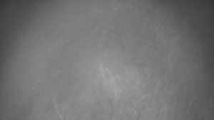 Bludný - Rajnochovice Troják - Bludný - Rajnochovice Troják - 7.12.2025 v 06:30 Bludný - Rajnochovice Troják - Bludný - Rajnochovice Troják - 7.12.2025 v 06:30