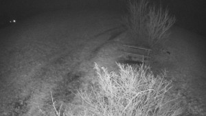 Bludný - Rajnochovice Troják - Bludný - Rajnochovice Troják - 7.12.2025 v 17:00 Bludný - Rajnochovice Troják - Bludný - Rajnochovice Troják - 7.12.2025 v 17:00